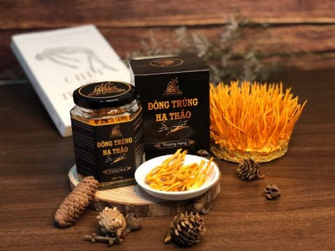  Nấm đông trùng hạ thảo khô sấy thăng hoa (Loại 10gr) 