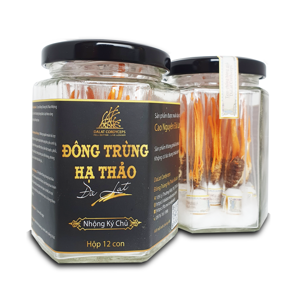 Nấm đông trùng hạ thảo khô sấy thăng hoa - Nhộng Ký Chủ