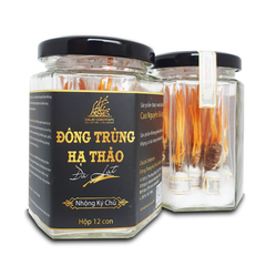 Nấm đông trùng hạ thảo khô sấy thăng hoa - Nhộng Ký Chủ