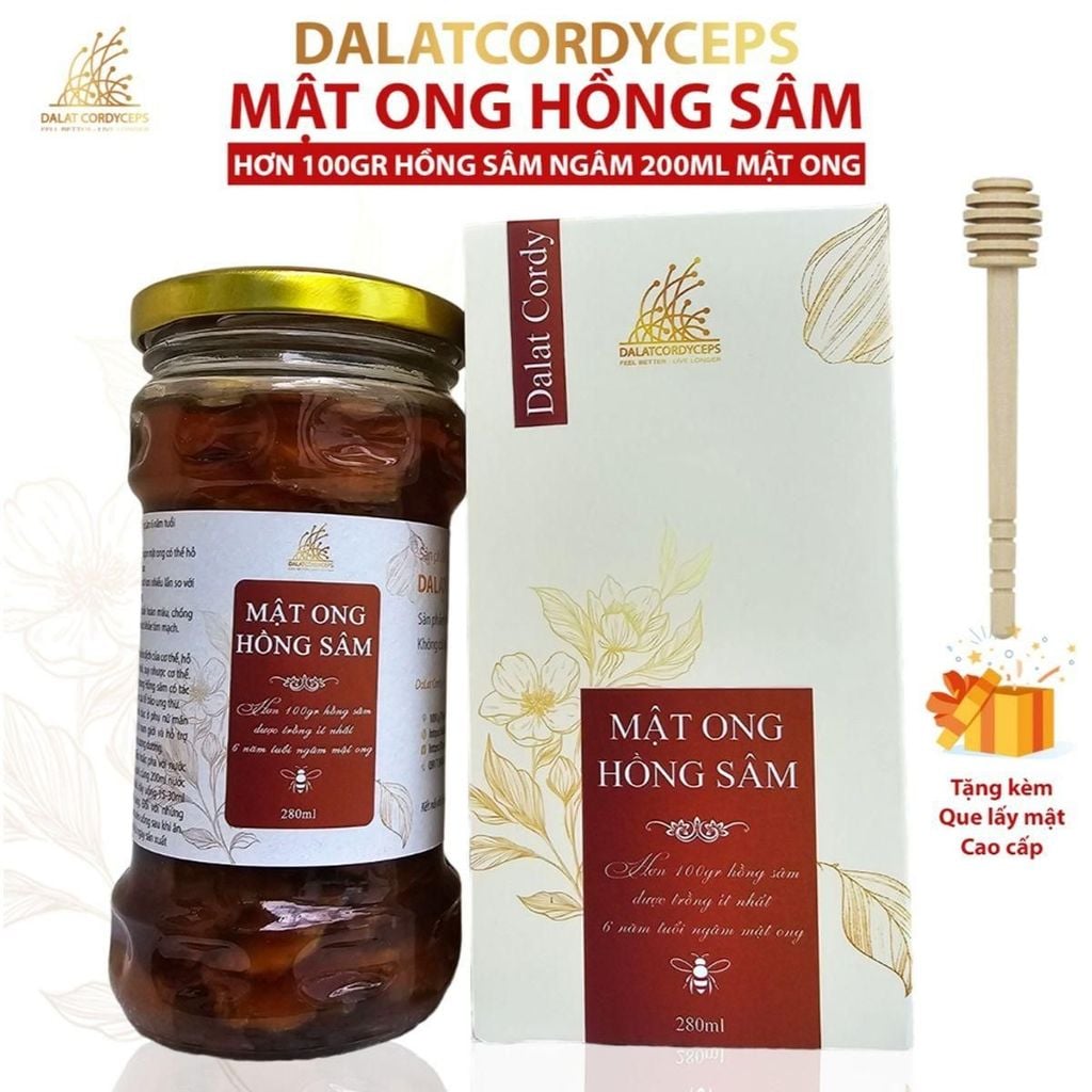 Mật ong ngâm với hồng sâm, Dalat Cordyceps