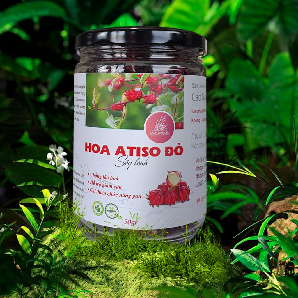 Trà hoa atiso đỏ sấy khô sấy lạnh Dalat Cordyceps - Loai cao cấp