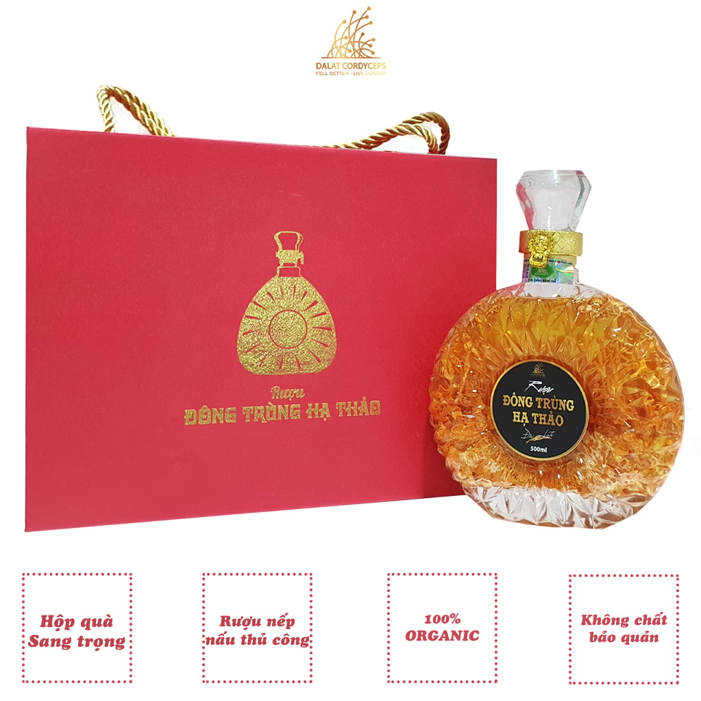 Nấm đông trùng hạ thảo tươi ngâm rượu trong chai thuỷ tinh XO  - Hộp giấy cao cấp