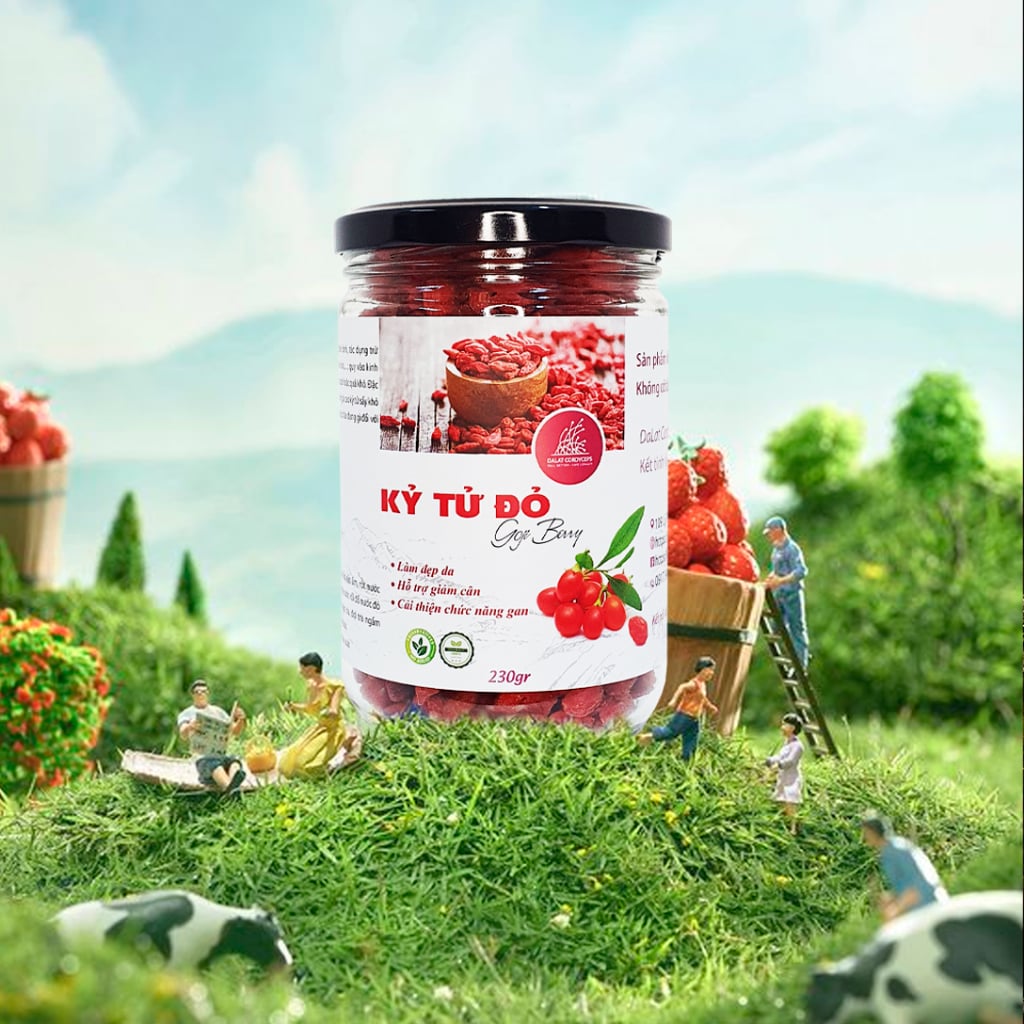Kỷ tử đỏ sấy khô - Dalat Cordyceps - loại thượng hạng