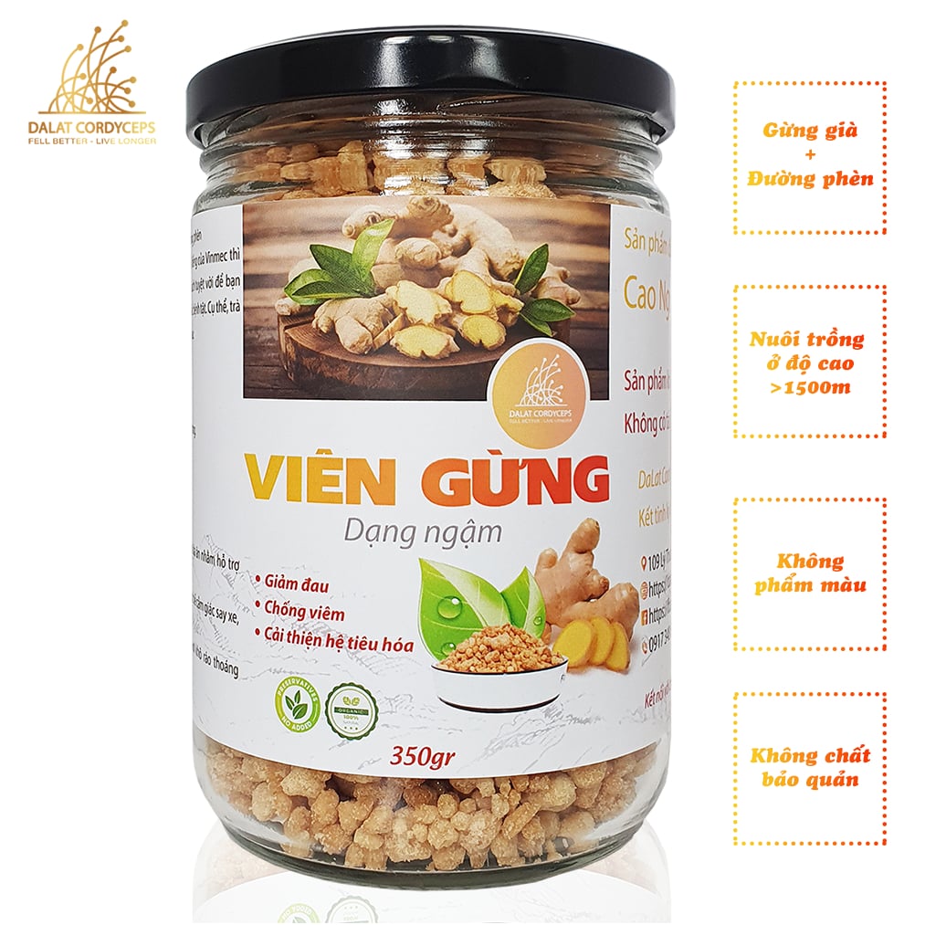 Trà viên gừng Dalat Cordyceps, dạng viên ngậm