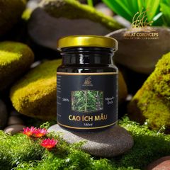 Cao ích mẫu - Dalat Cordyceps
