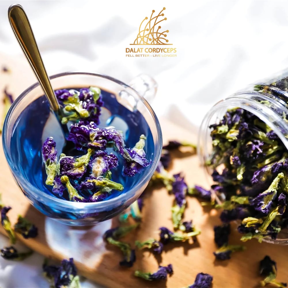 Trà bông hoa đậu biếc khô sấy lạnh - Dalat Cordyceps - loại thượng hạng