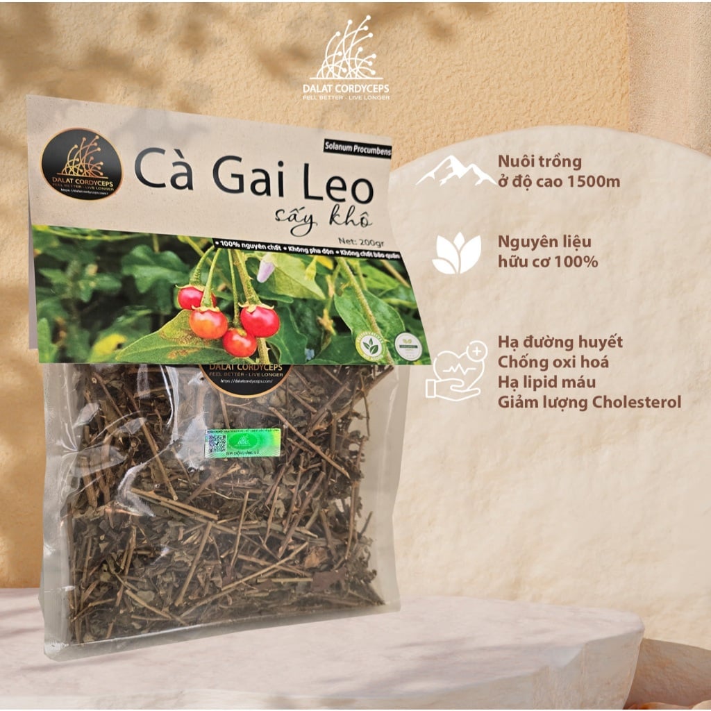 Trà thảo mộc cà gai leo sấy khô Dalat Cordyceps