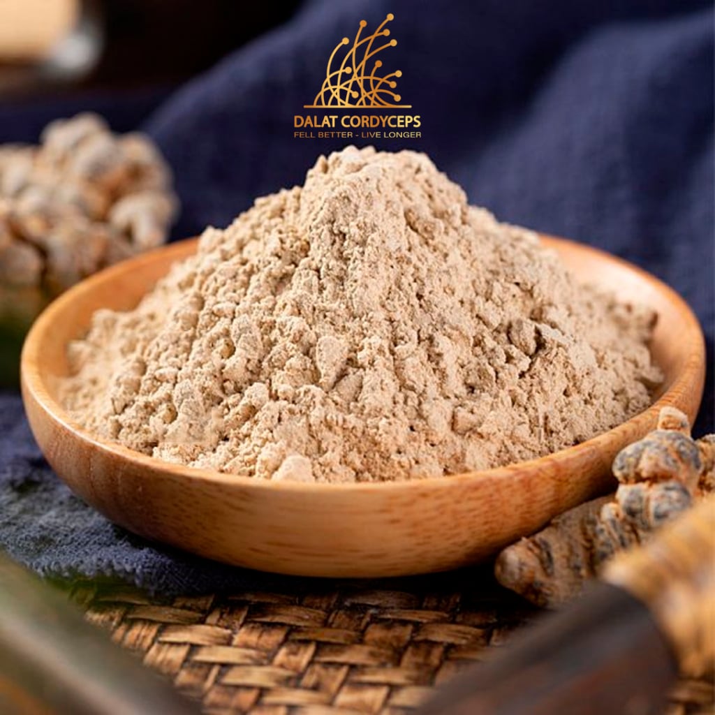 Bột củ tam thất bắc sây khố nguyên chất sấy khô , Loại cao cấp Dalat Cordyceps