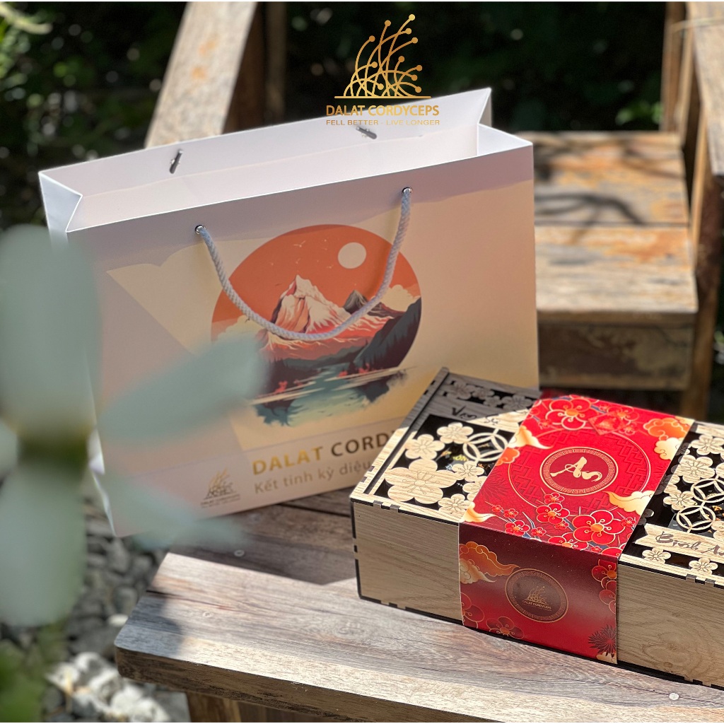 Set quà tết năm 2026 sức khoẻ Vạn An - Dalat Cordyceps - Đông trùng hạ thảo, saffron, linh chi, thảo mộc thiên nhiên
