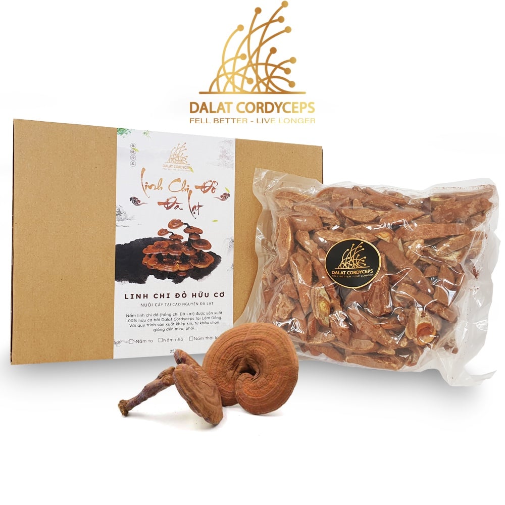 Nấm linh chi đỏ Đà Lạt còn nguyên bào tử nấm, loại thái lát