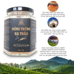 Combo 4 hộp Nấm Đông trùng hạ thảo khô sấy thăng hoa Loại 10gr