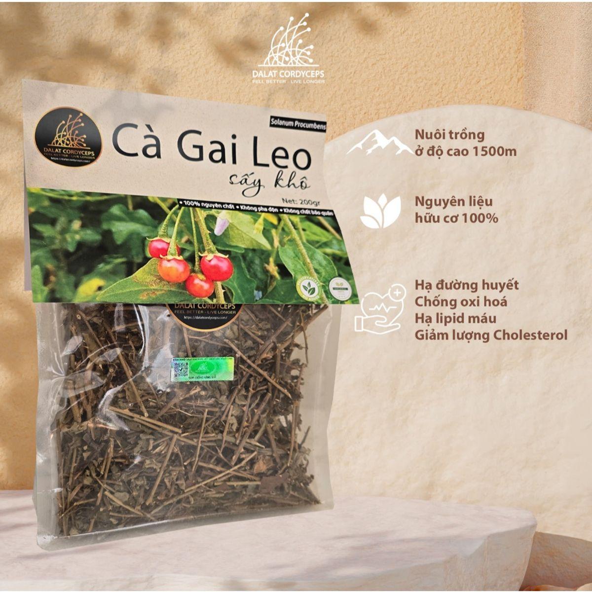 Trà thảo mộc cà gai leo sấy khô - Dalat Cordyceps