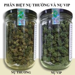 Trà thảo mộc nụ hoa tam thất bao tử loại nụ sấy lạnh, Dalat Cordyceps