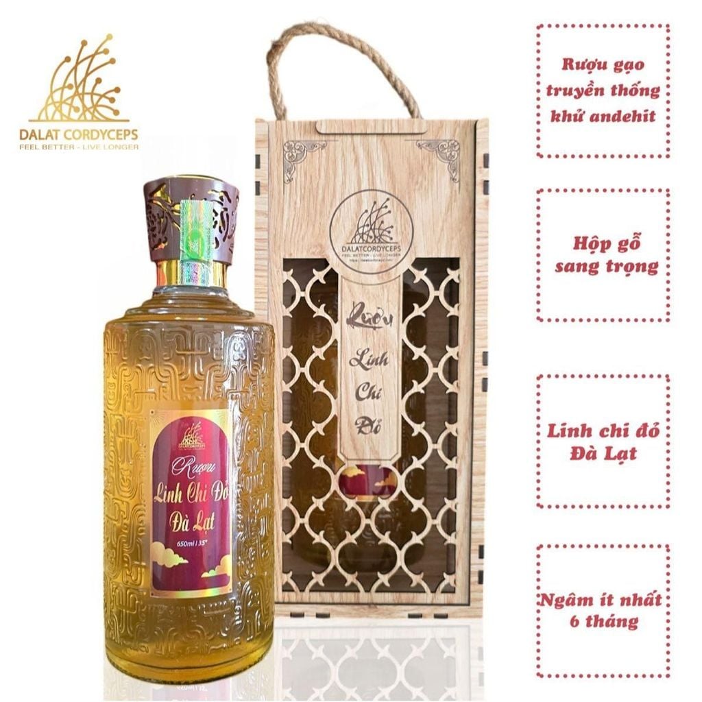 Nấm linh chi đỏ ngâm rượu - Dalat Cordyceps - Hộp gỗ cao cấp