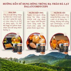 Nấm đông trùng hạ thảo khô sấy thăng hoa (50gr)