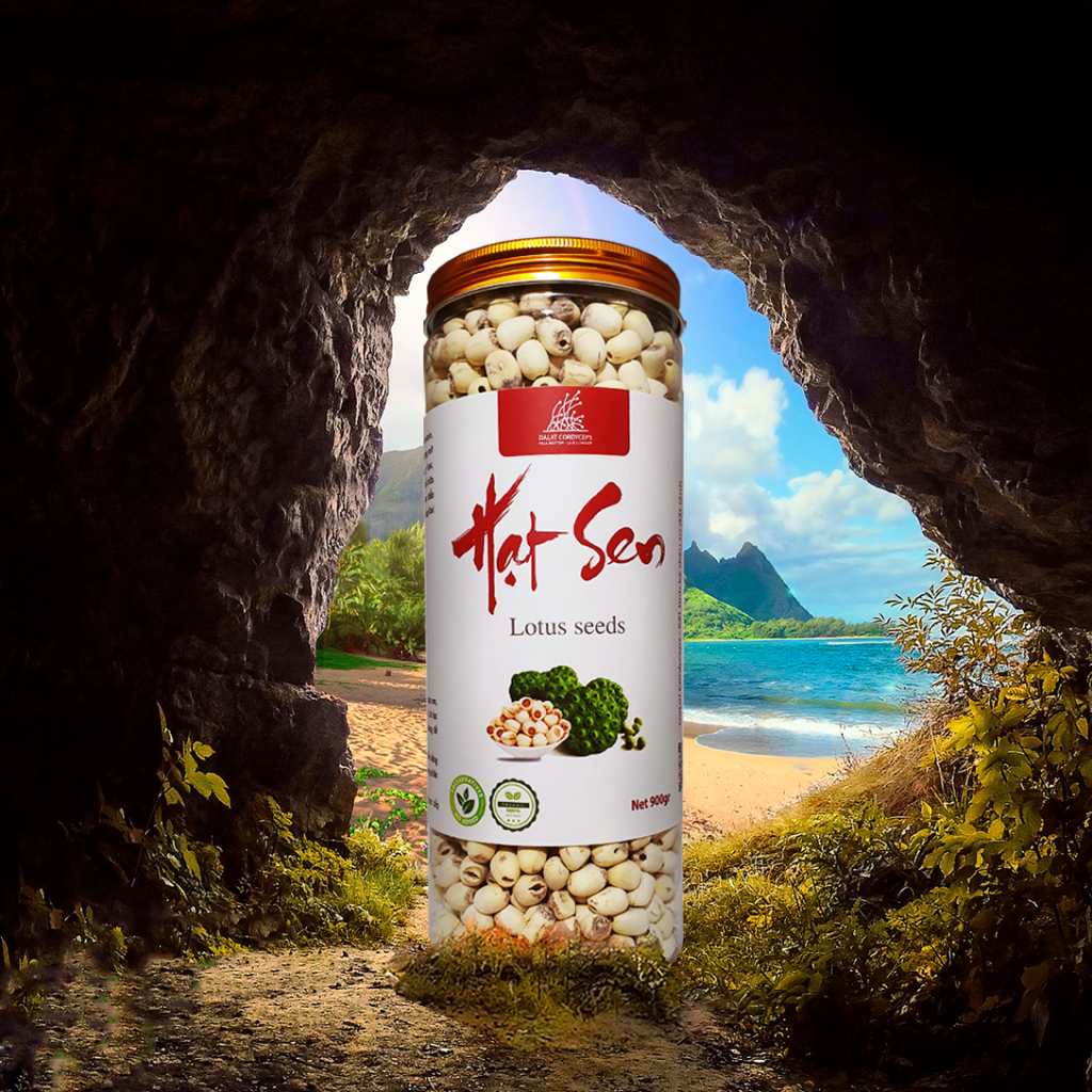 Hạt sen sấy khô Dalat Cordyceps - hạt tịnh tâm