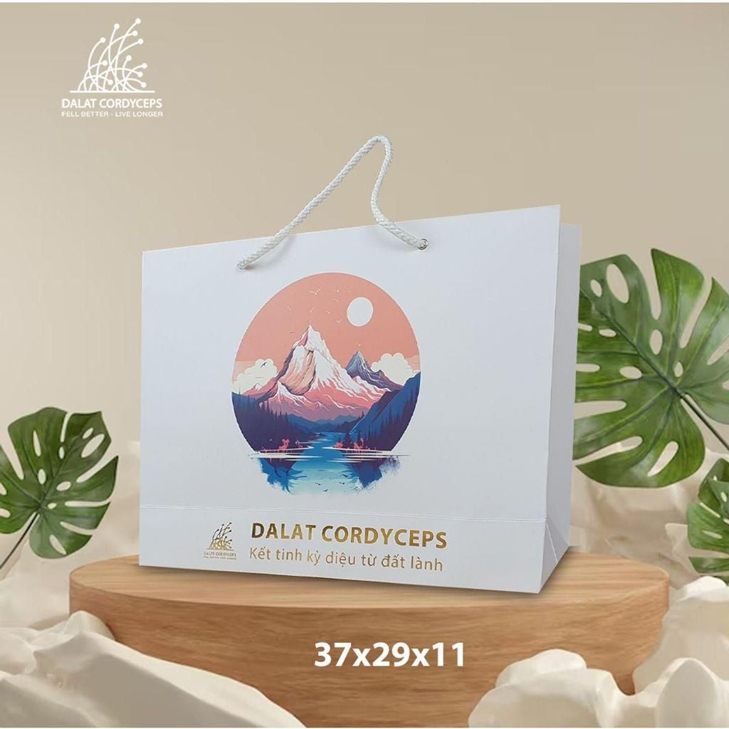 Túi giấy quà tặng cao cấp - Dalat Cordyceps