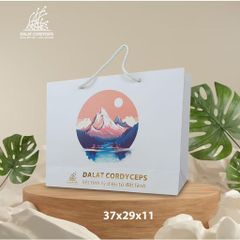 Túi giấy quà tặng cao cấp - Dalat Cordyceps