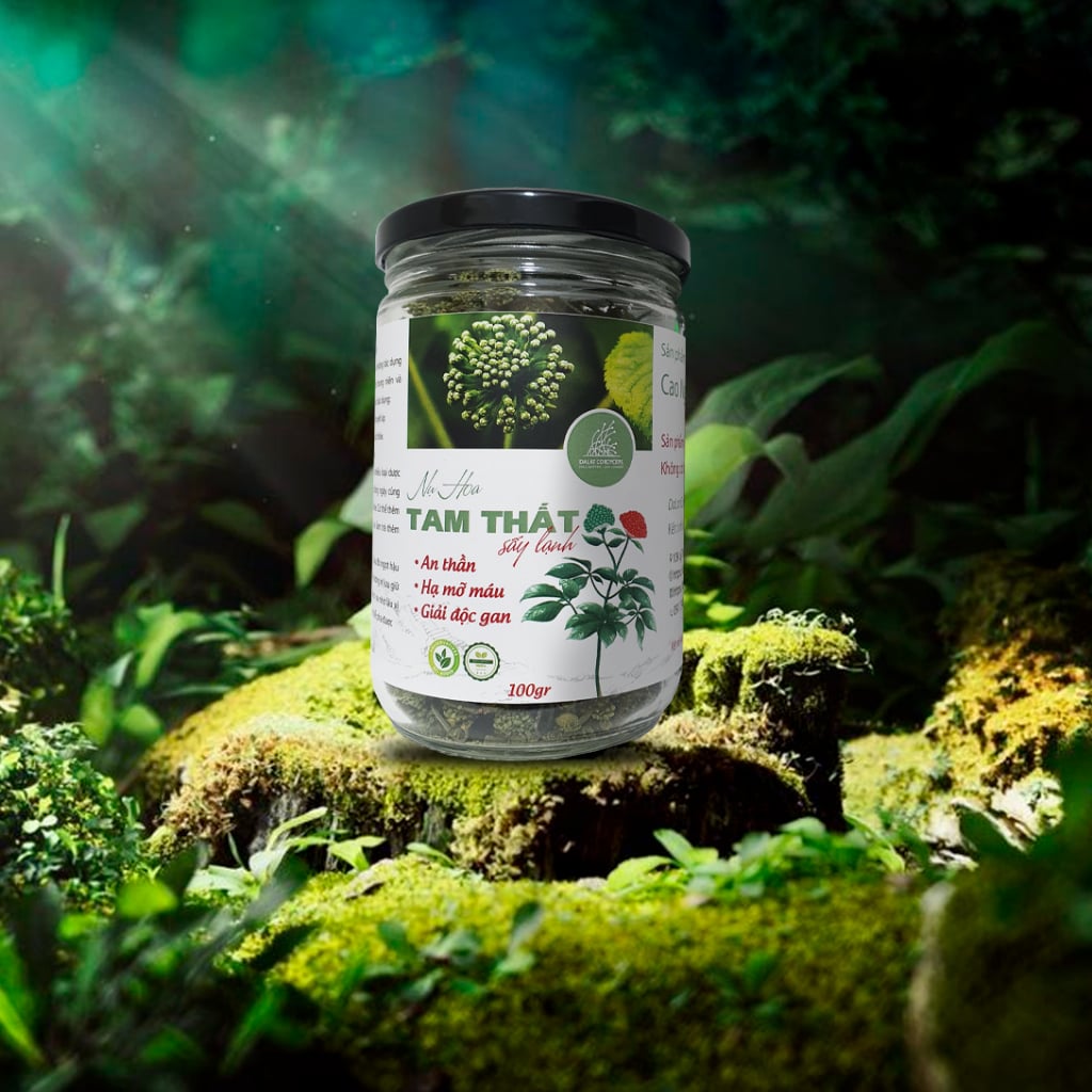 Trà thảo mộc nụ hoa tam thất bao tử loại nụ sấy lạnh, Dalat Cordyceps