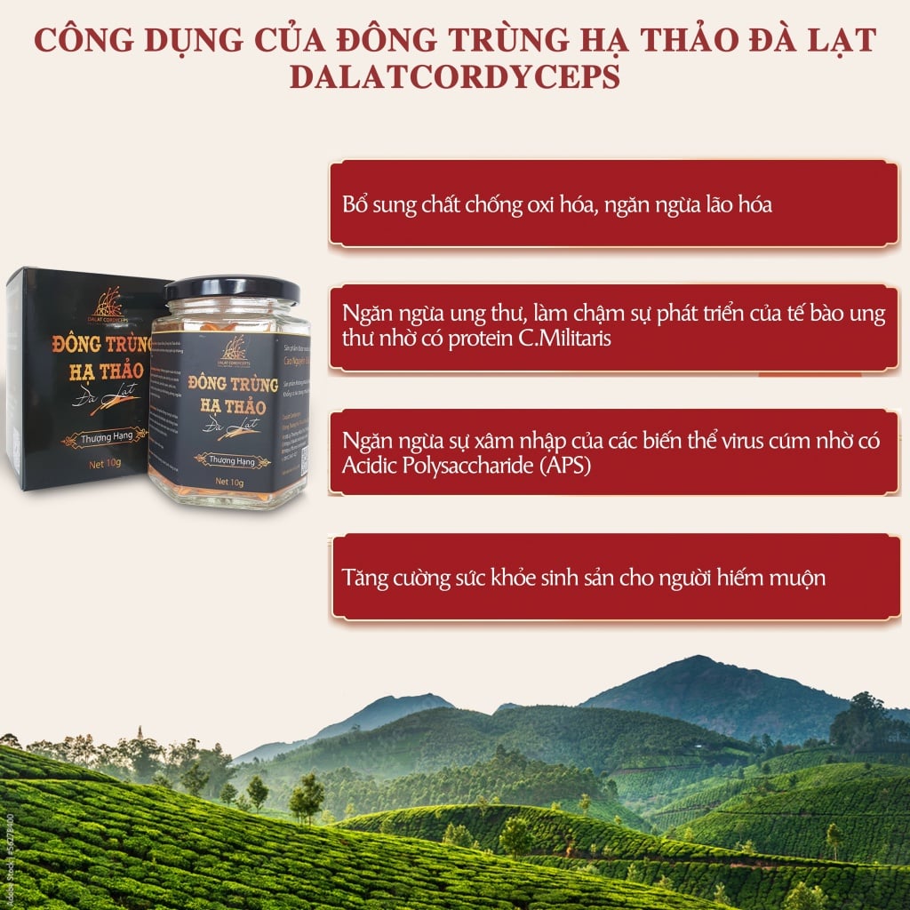 Nấm đông trùng hạ thảo khô đã được sấy thăng hoa giữ nguyên dưỡng chất, Dalat Cordyceps, 10gr, 4 hộp