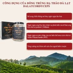 Nấm đông trùng hạ thảo khô đã được sấy thăng hoa giữ nguyên dưỡng chất, Dalat Cordyceps, 10gr, 4 hộp