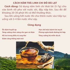 Nấm linh chi đỏ Đà Lạt còn nguyên bào tử nấm, loại nguyên tai Dalat Cordyceps