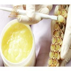 Sữa ong chúa tươi - Dalat Cordyceps