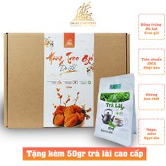 Hồng treo gió Đà Lạt - Dalat Cordyceps - Loại cao cấp