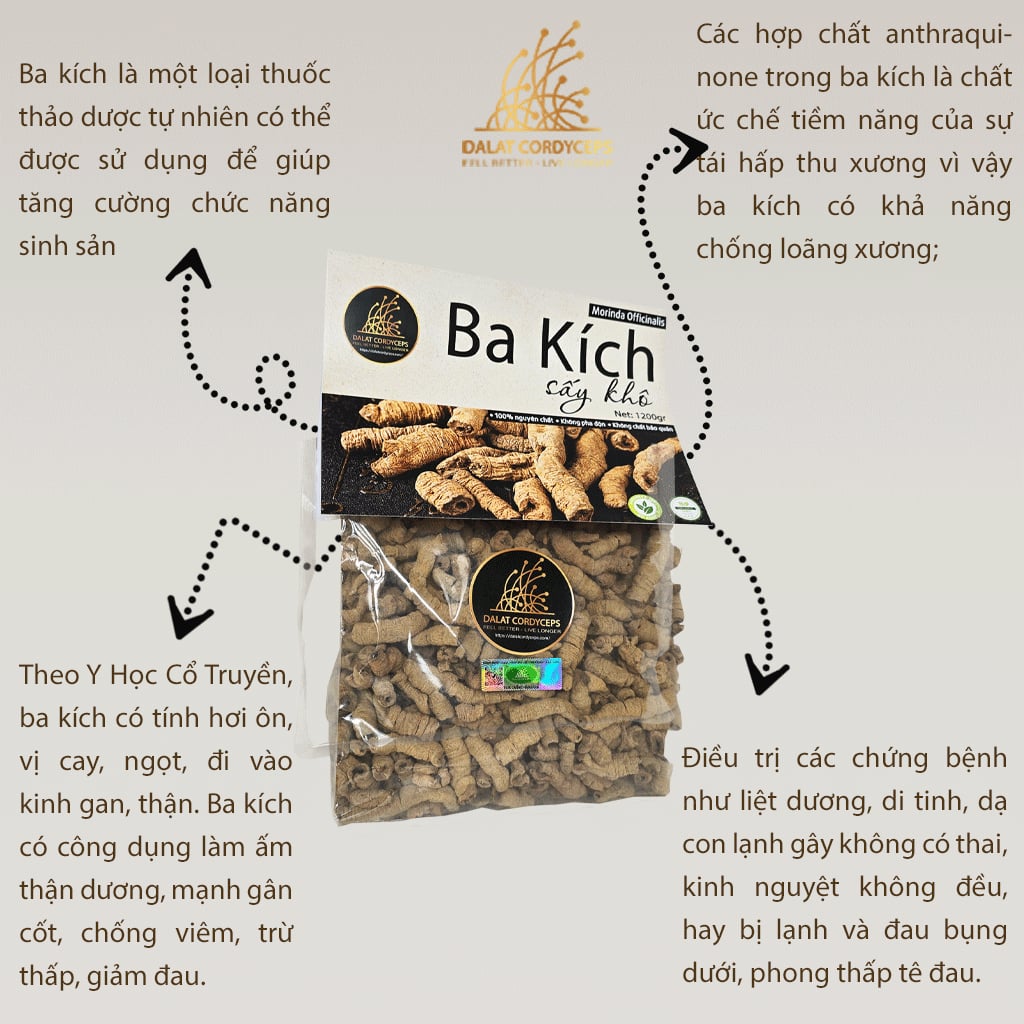 Ba kích tím khô rút lõi Dalat Cordyceps