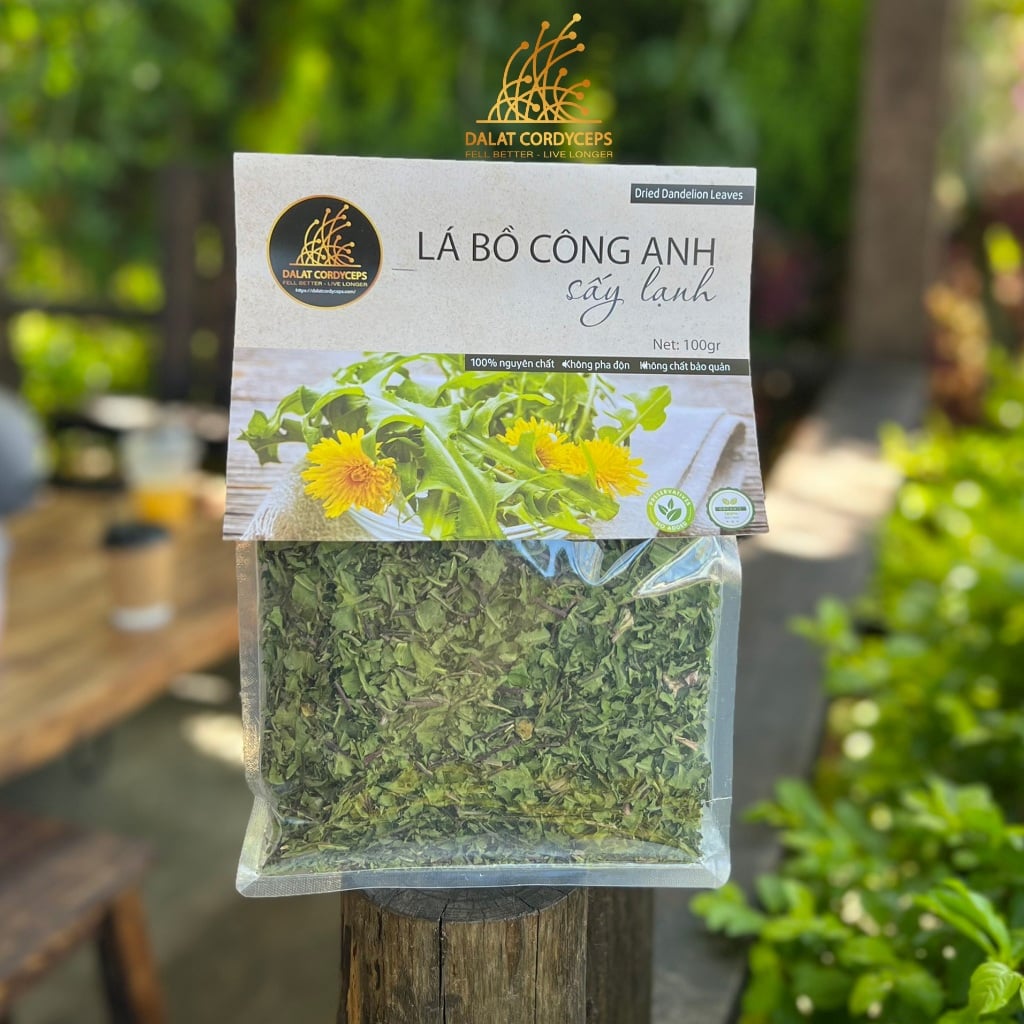 Trà thảo mộc lá bồ công anh sấy lạnh Dalat Cordyceps