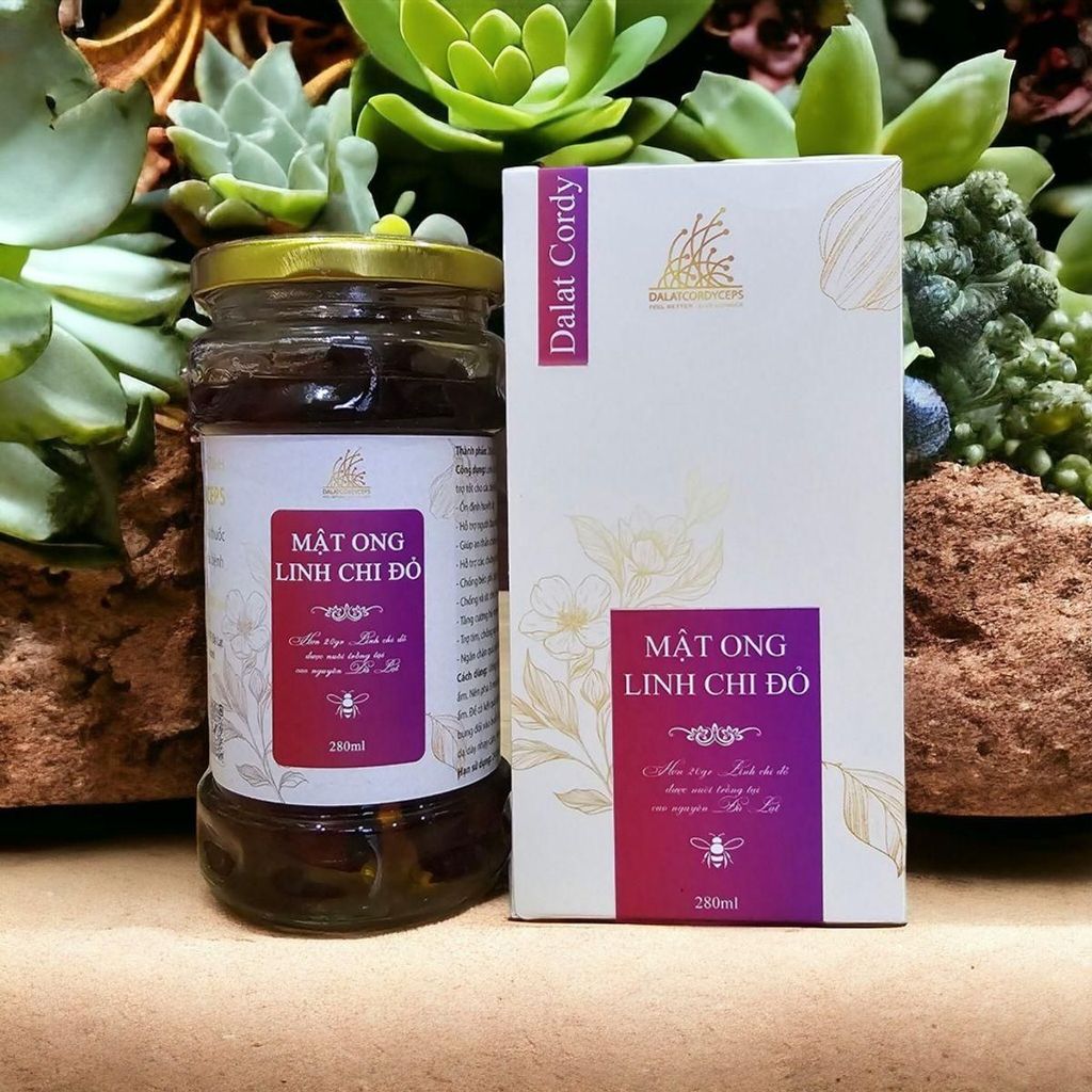 Mật ong ngâm linh chi đỏ Đà Lạt - Hộp cao cấp