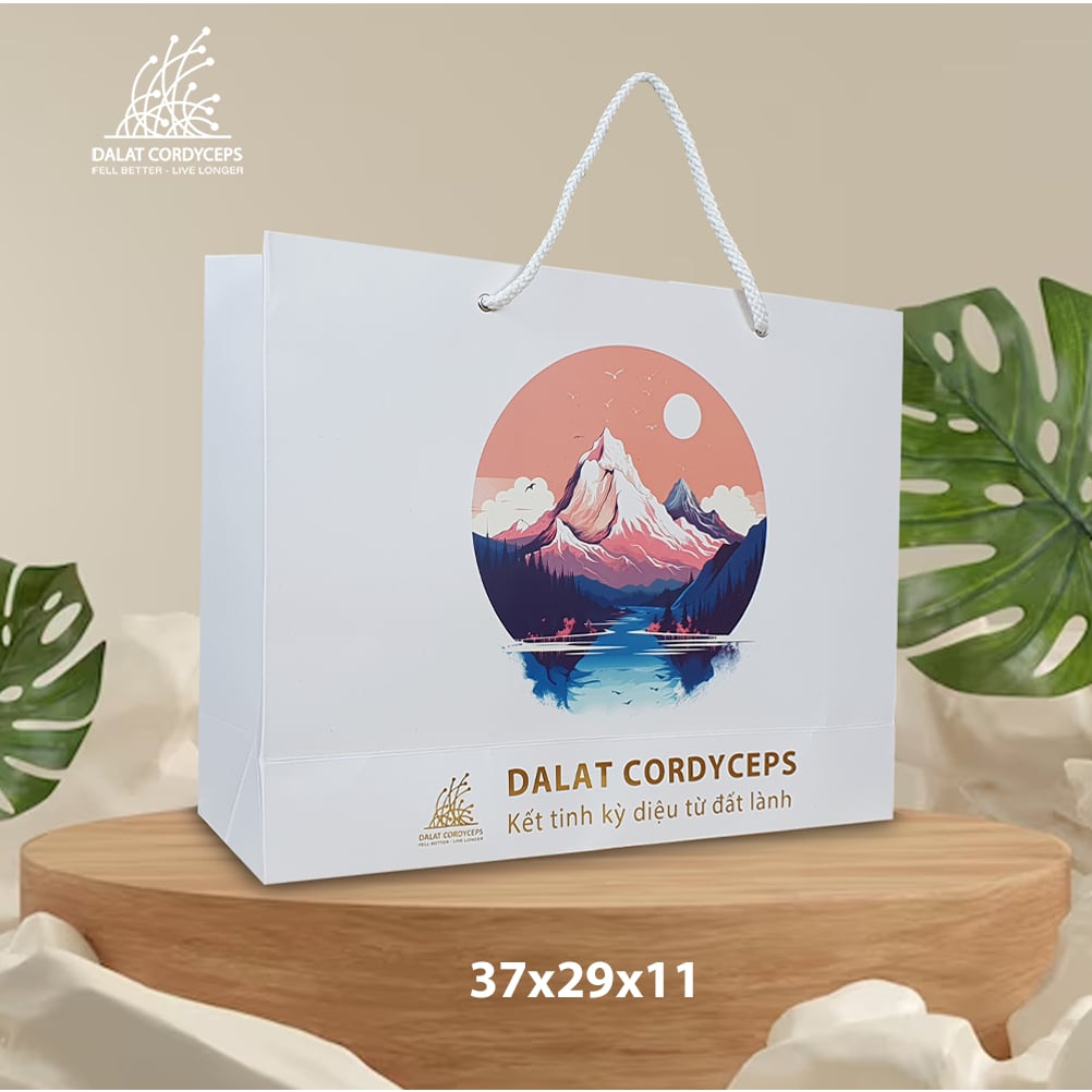 Túi giấy quà tặng cao cấp - Dalat Cordyceps
