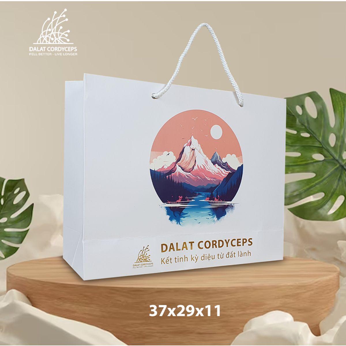 Túi giấy quà tặng cao cấp - Dalat Cordyceps