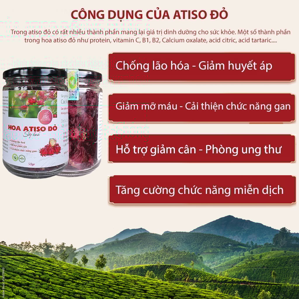 Trà hoa atiso đỏ sấy khô sấy lạnh Dalat Cordyceps - Loai cao cấp