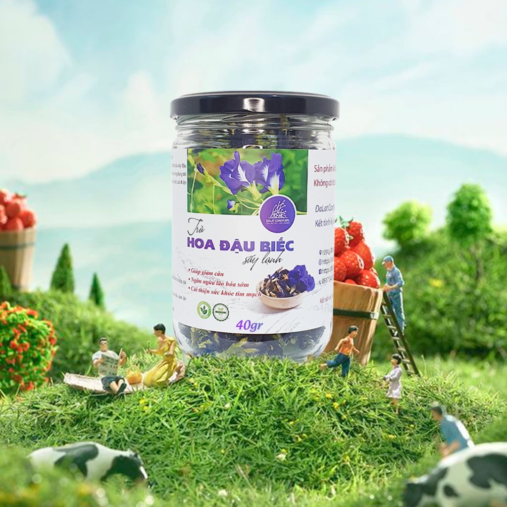 Trà bông hoa đậu biếc khô sấy lạnh - Dalat Cordyceps - loại thượng hạng