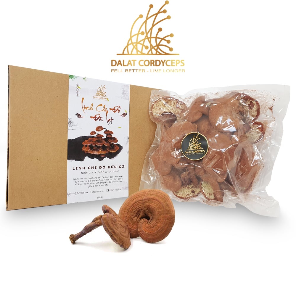 Nấm linh chi đỏ Đà Lạt còn nguyên bào tử nấm, loại nguyên tai Dalat Cordyceps