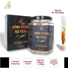Nấm đông trùng hạ thảo khô đã được sấy thăng hoa giữ nguyên dưỡng chất, Dalat Cordyceps, 10gr, 4 hộp