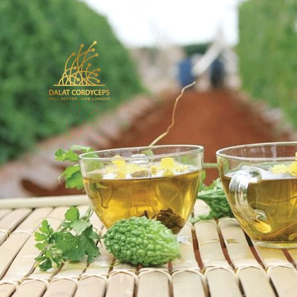 Khổ qua, mướp đắng rừng sấy khô - Dalat Cordyceps