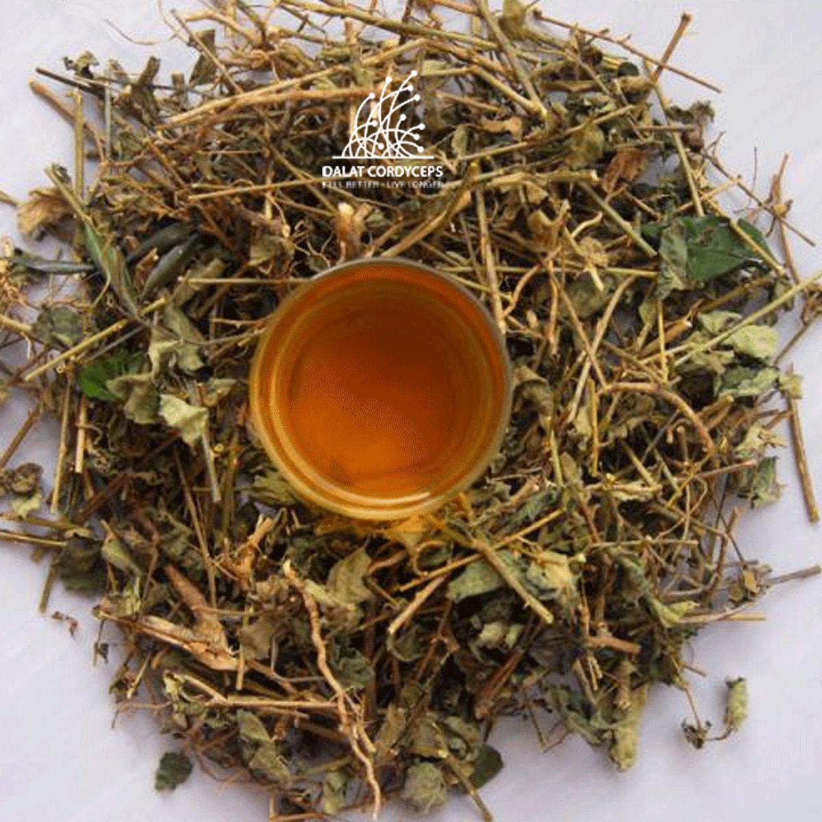 Trà thảo mộc cà gai leo sấy khô - Dalat Cordyceps