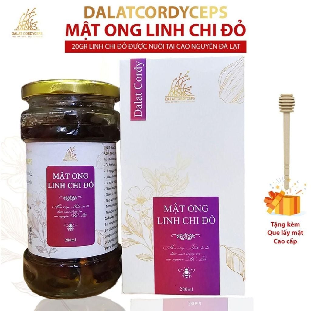 Mật ong ngâm linh chi đỏ Đà Lạt - Hộp cao cấp