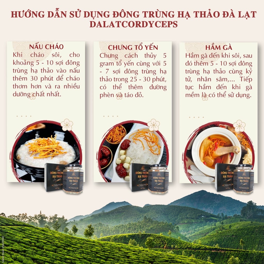 Nấm đông trùng hạ thảo khô đã được sấy thăng hoa giữ nguyên dưỡng chất, Dalat Cordyceps, 10gr, 4 hộp