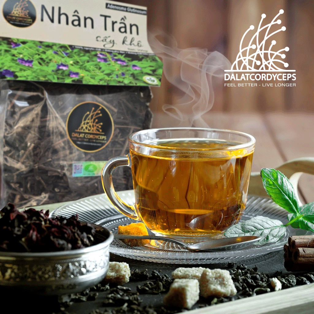 Thảo mộc nhân trần sấy khô Dalat Cordyceps