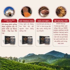 Combo 4 hộp Nấm Đông trùng hạ thảo khô sấy thăng hoa Loại 10gr