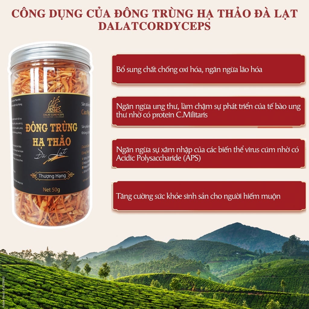 Nấm đông trùng hạ thảo khô sấy thăng hoa (50gr)