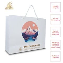 Túi giấy quà tặng cao cấp - Dalat Cordyceps