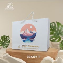 Túi giấy quà tặng cao cấp - Dalat Cordyceps