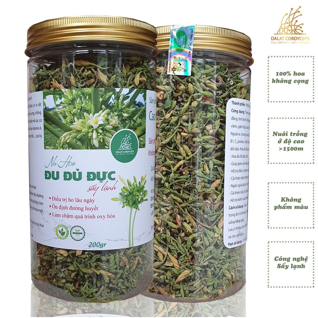 Nụ hoa đu đủ đực đã khô công nghệ sấy lạnh Dalat Cordyceps