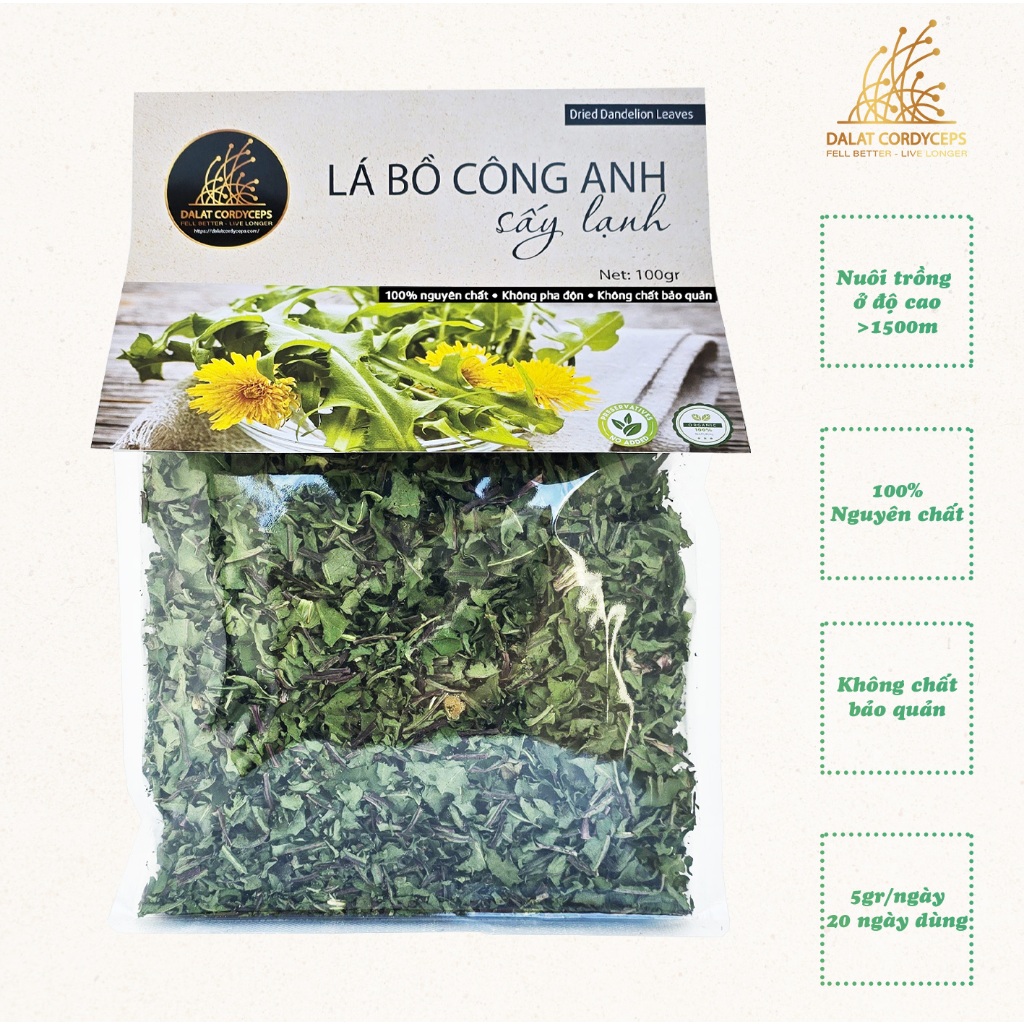 Trà thảo mộc lá bồ công anh sấy lạnh - Dalat Cordyceps