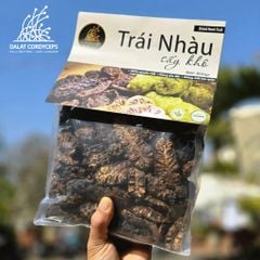 Thảo mộc trái nhàu sấy khô túi zip tiện dụng Dalat Cordyceps