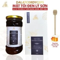 Mật ong ngâm tỏi đen lý sơn - Hộp cao cấp